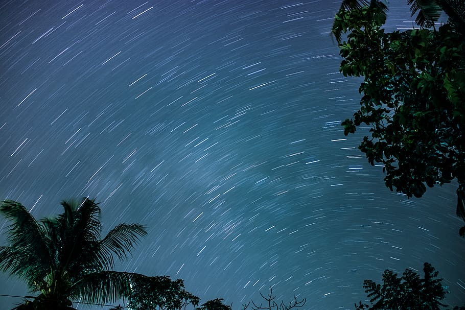 green palm tree, nature, outdoors, night, universe, outer space HD wallpaper