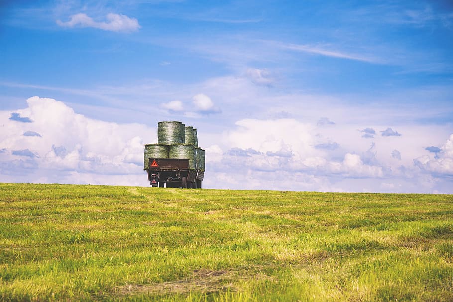 nature, plains, field, grass, harvest, sky, clouds, horizon HD wallpaper