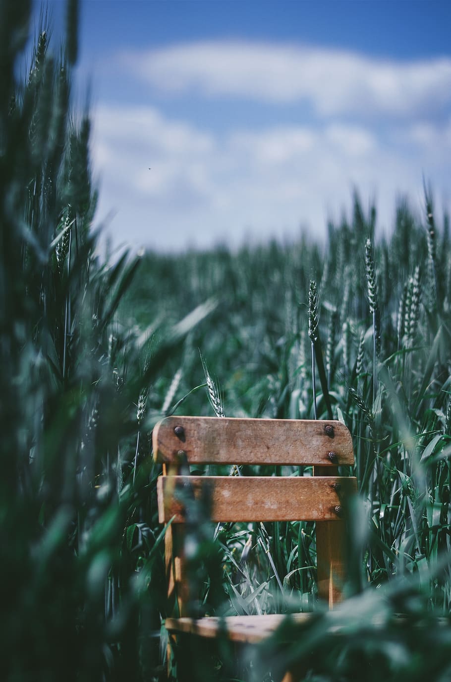Brown Wooden Chair in Middle of Green Field, color, daylight HD wallpaper