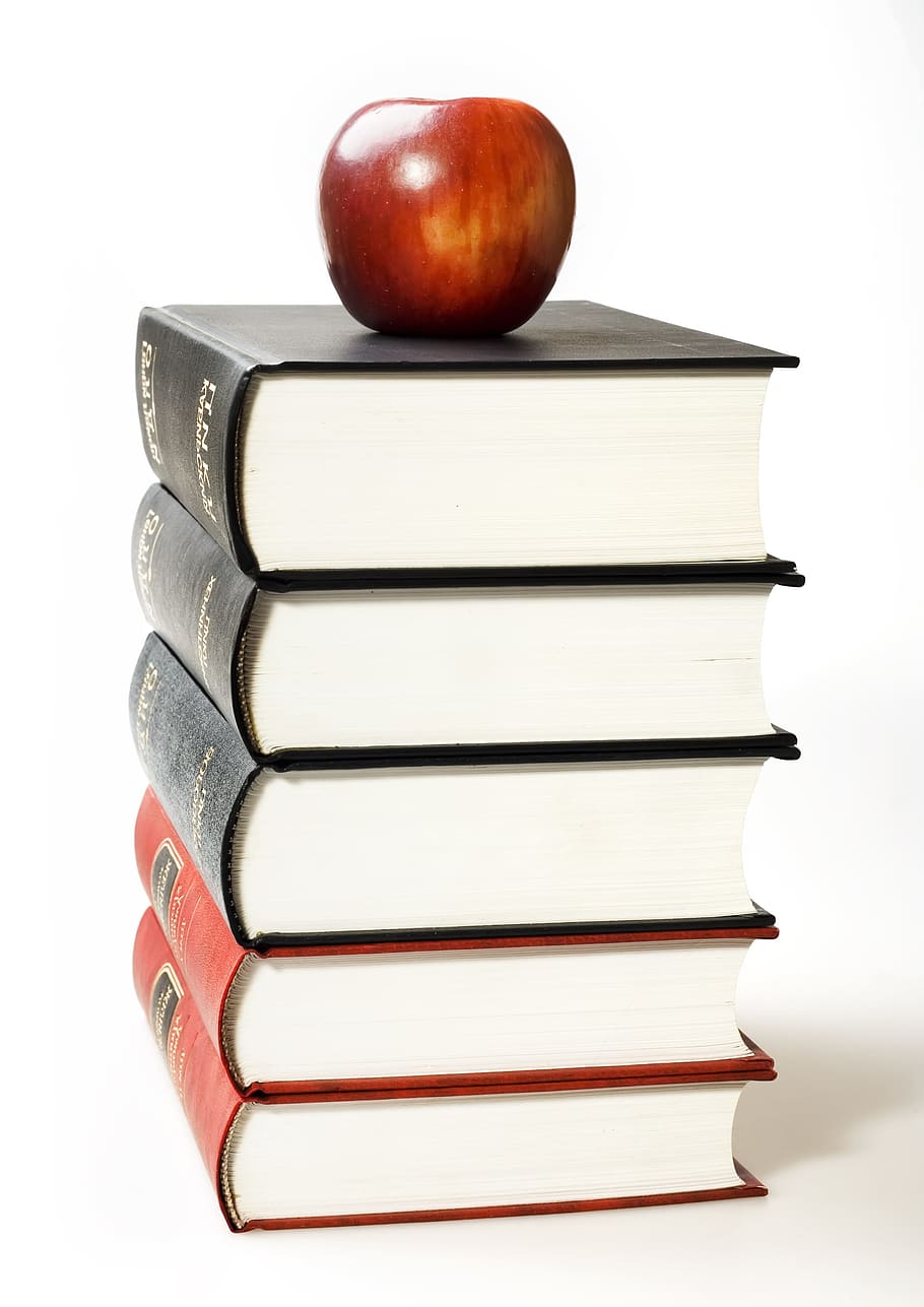 con2011, book, knowledge, literary, literature, new, object HD wallpaper