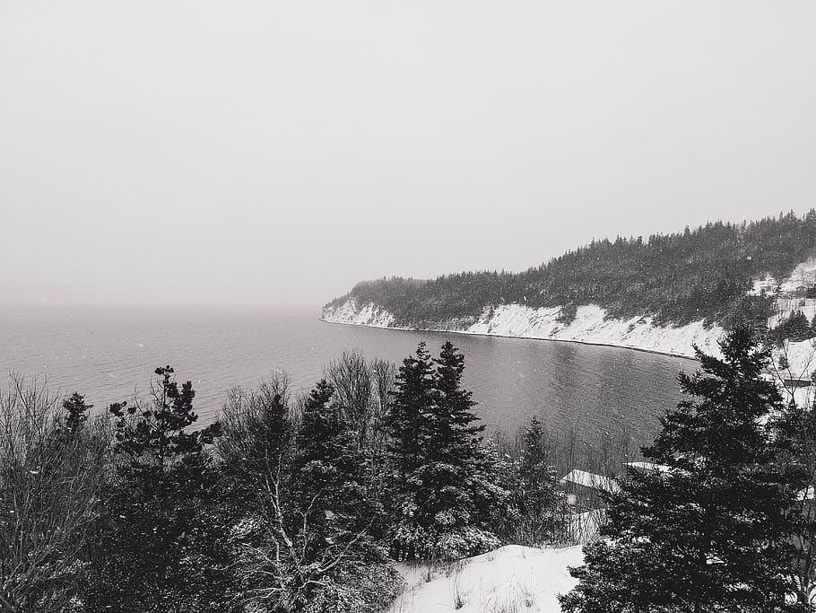 canada, mcivers, ocean, forest, snow, newfoundland, cabin, drone HD wallpaper