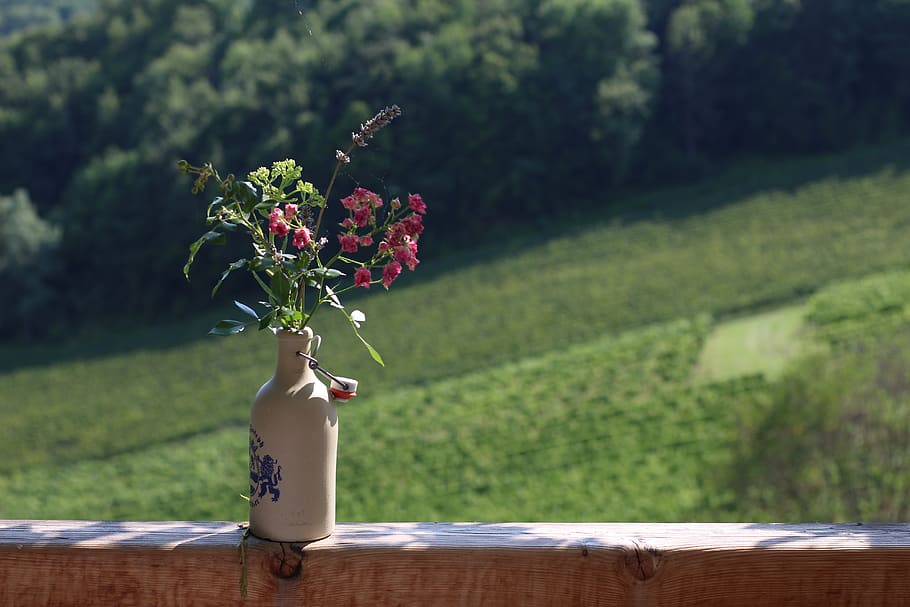 spode bottle, flowers, railing, terrace, hill land, weinstrasse HD wallpaper