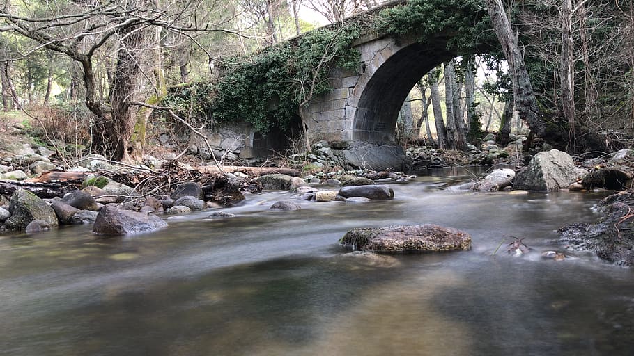 spain, la adrada, bridge, Ávila, grados, river, water, tree HD wallpaper