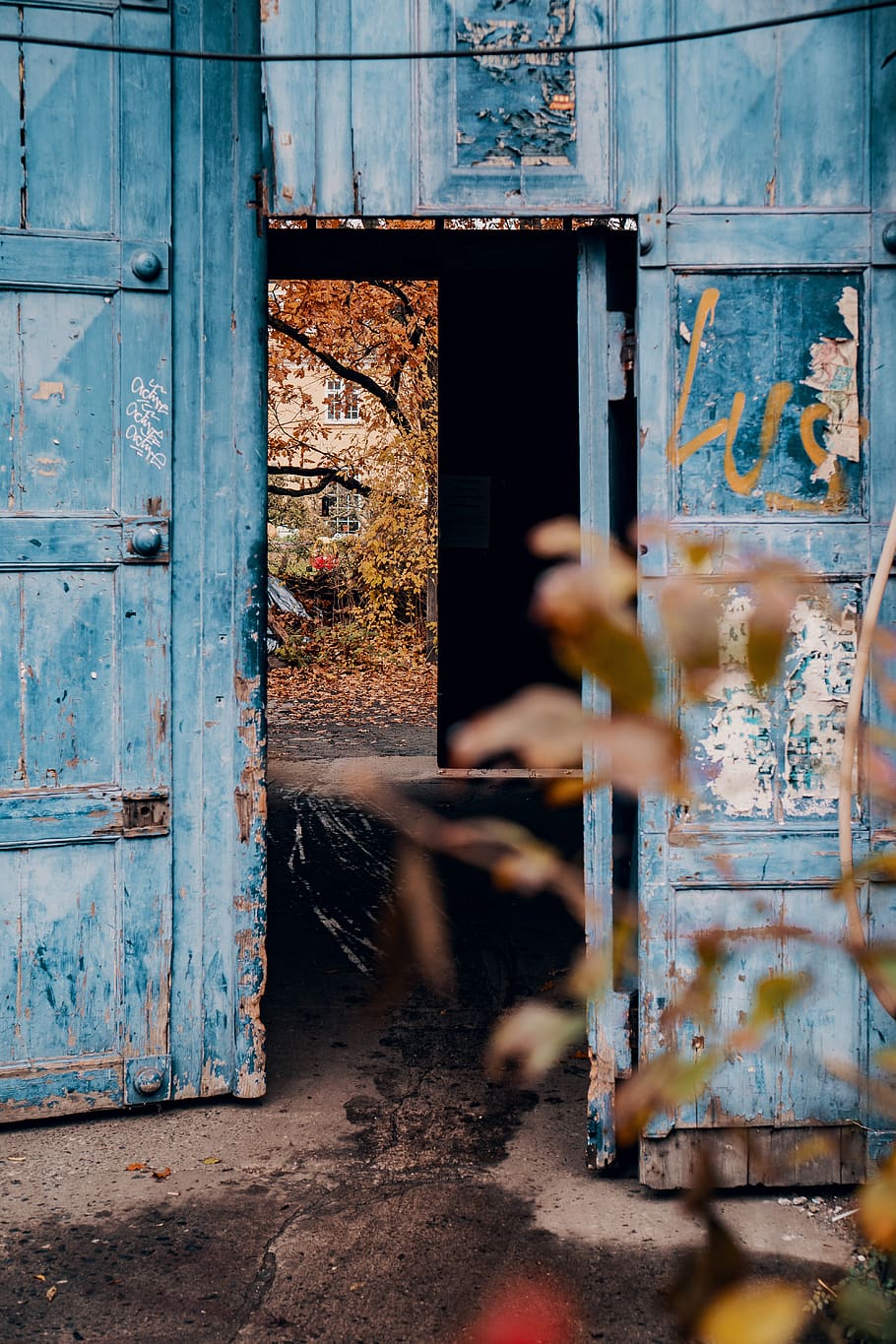 opened blue door, housing, building, nature, outdoors, rural, HD wallpaper