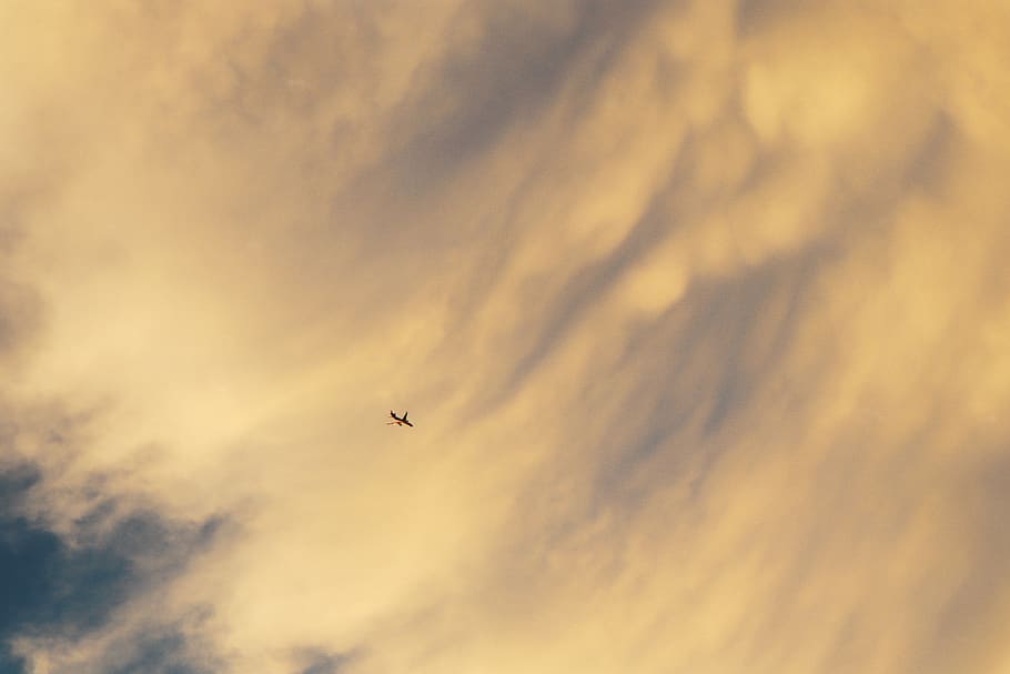 sky, plane, cloud, airplane, wing, flight, flying, transport HD wallpaper