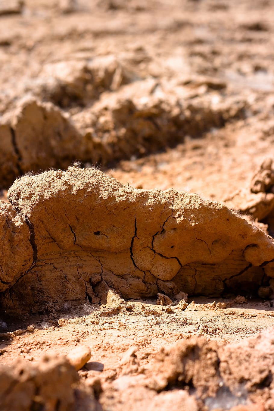 brown, close-up, desert, dirt, dry, dune, dust, land, sand, HD wallpaper