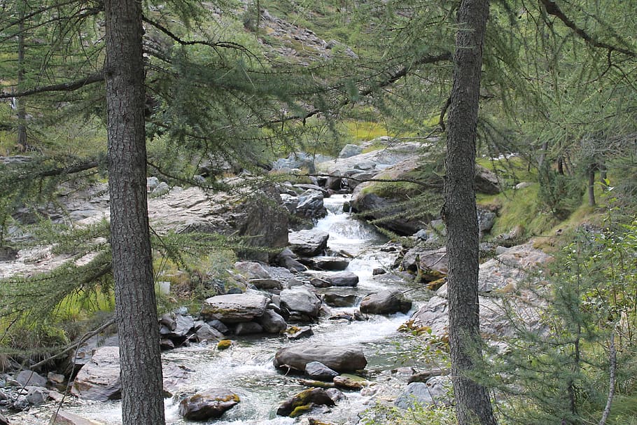 river, hiking, landscape, water, alpine, summer, holiday, tree HD wallpaper