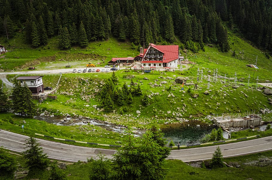 house surrounded by trees, building, romania, rural, forest, nature HD wallpaper