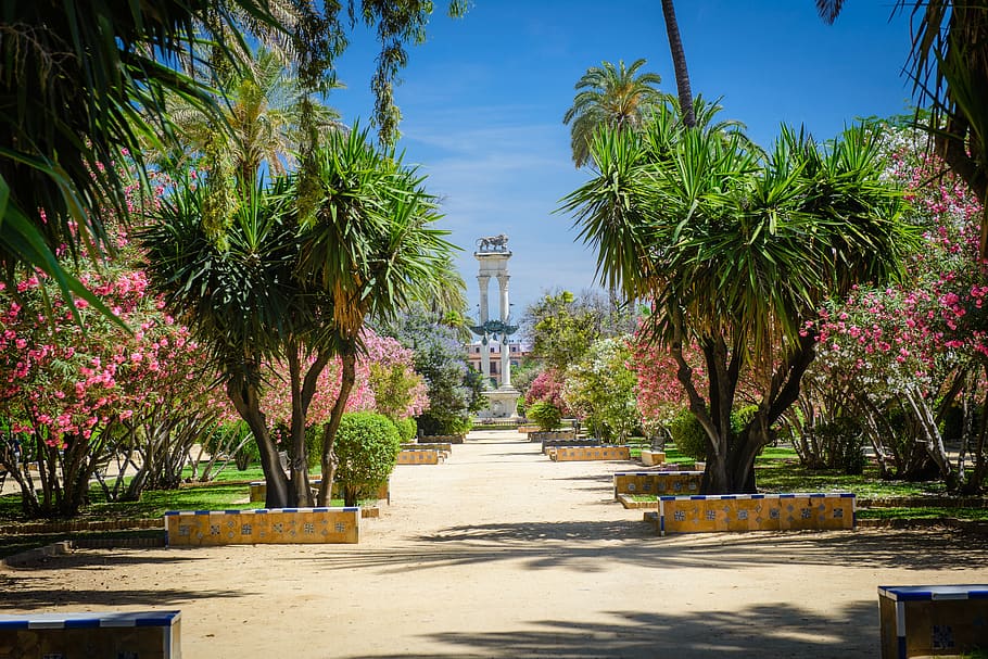 green trees, outdoors, arbour, garden, sevilla, spain, furniture, HD wallpaper