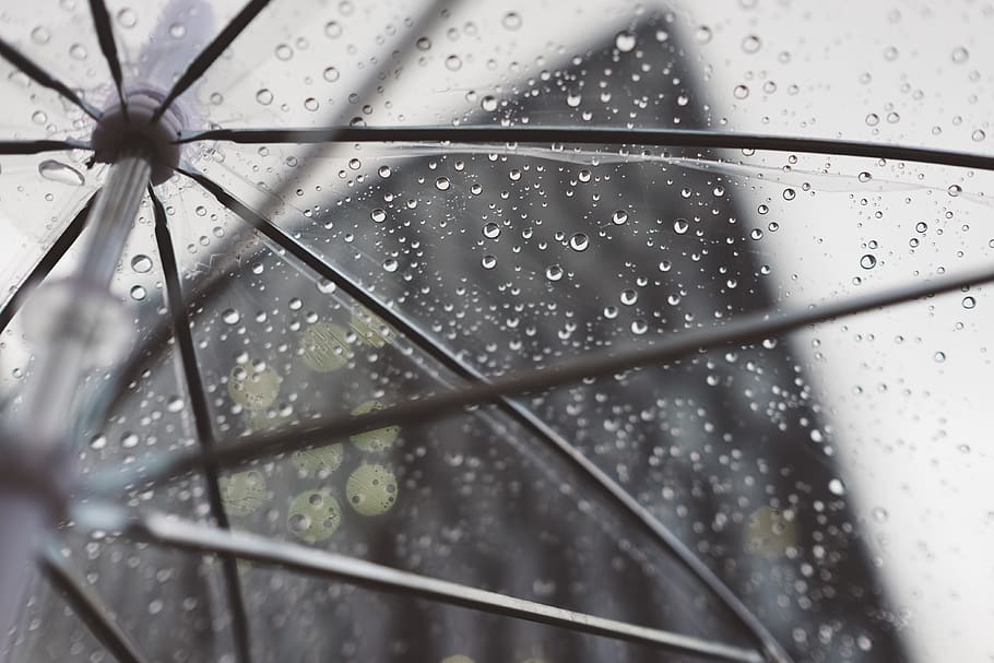 clear umbrella with water dews, drop, wet, rain, nature, close-up