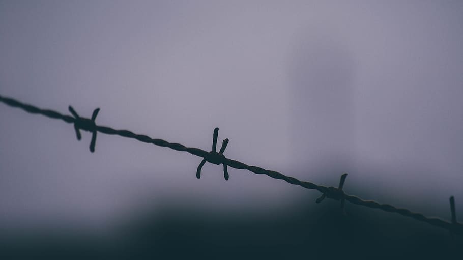 barbed wire, fence, safety, protection, security, barrier, boundary HD wallpaper