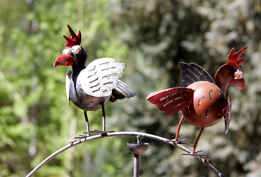 bird, hahn, animal, poultry, feather, rooster head, sheet, figure HD wallpaper