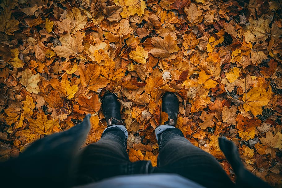 person wearing black jeans, boot, autumn, leafe, fall, fall love, HD wallpaper