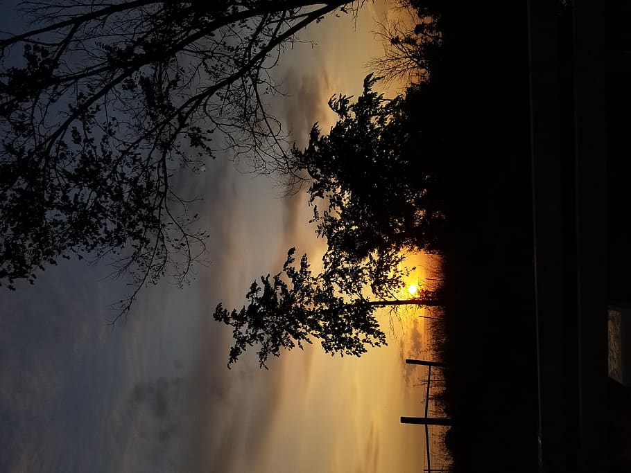 sunset, evening, dusk, silhoutte, midwest, tree, plant, sky HD wallpaper