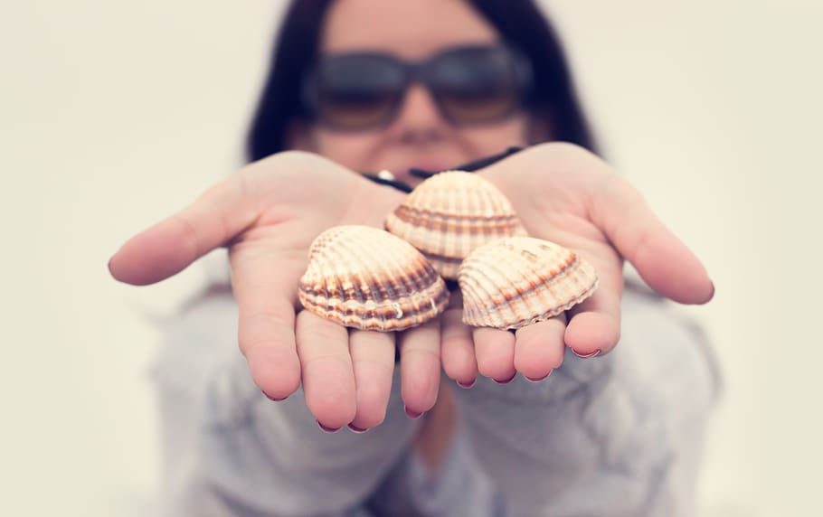 hand, palm, shell, seafood, blur, people, woman, one person HD wallpaper