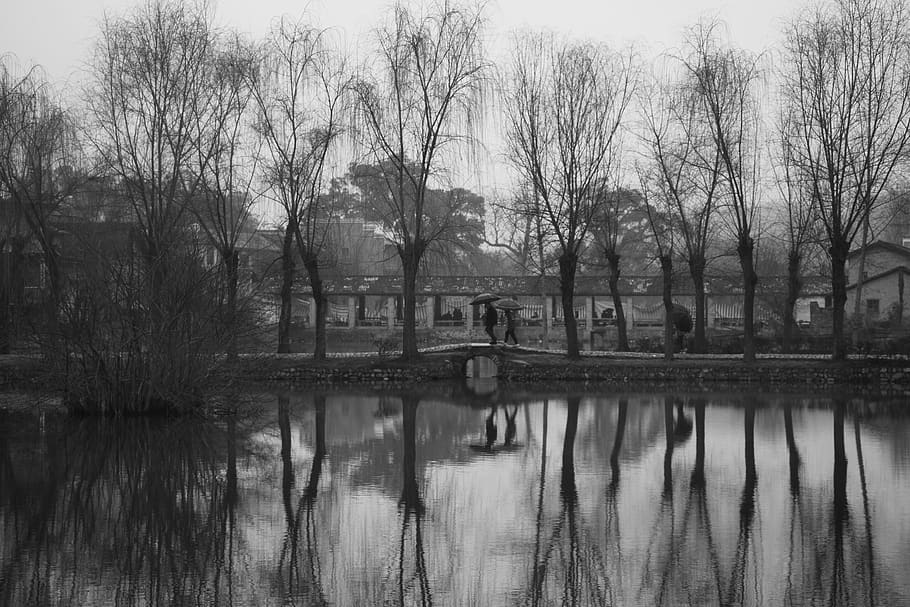 Two Person Walking on Bridge, black and white, black-and-white HD wallpaper