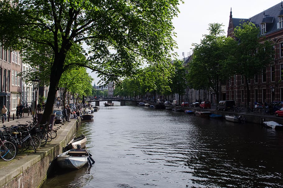 amsterdam, netherlands, riverside, trees, canal, water, boat HD wallpaper