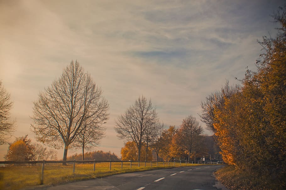 road, nature, landscape, trees, sky, fence, the picturesque HD wallpaper