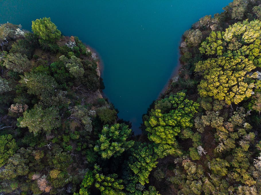 aerial nature scenery, water, sea, outdoors, ocean, sea life, HD wallpaper