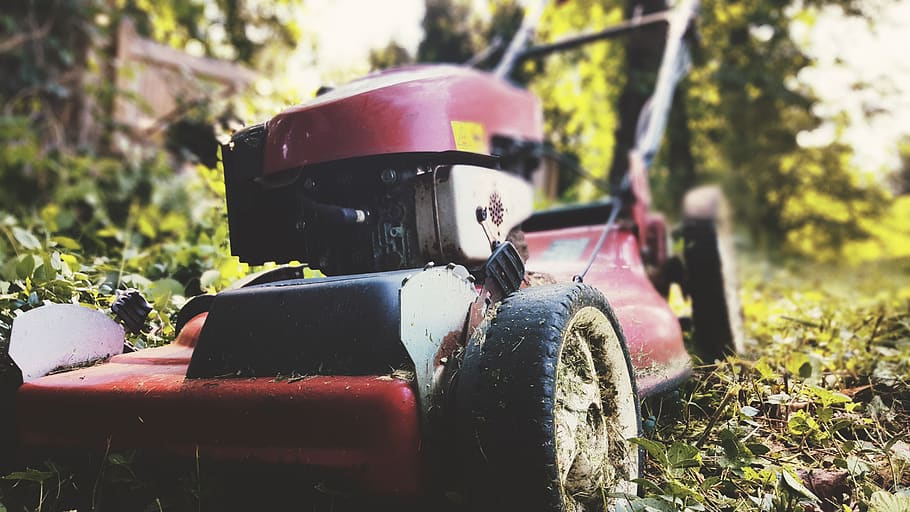 bel air, mower, summer, grass, mode of transportation, plant HD wallpaper
