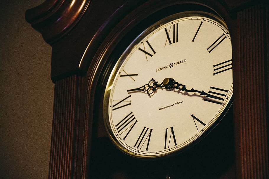 Closeup Photo Roman Numeral Watch, antique, classic, clock face HD wallpaper
