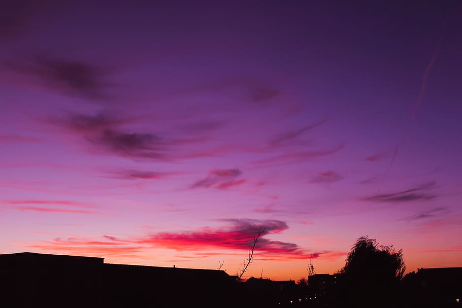 sunset, trees, sky, clouds, neon, cloud - sky, silhouette, purple HD wallpaper