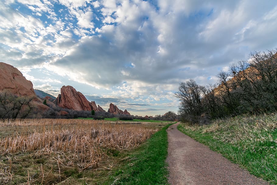 green grass field, outdoors, nature, road, path, dirt road, gravel HD wallpaper