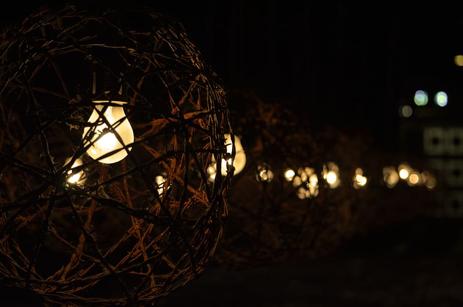 lublin, poland, thorn, sad, camp, bulb, memory, history, majdanek HD wallpaper