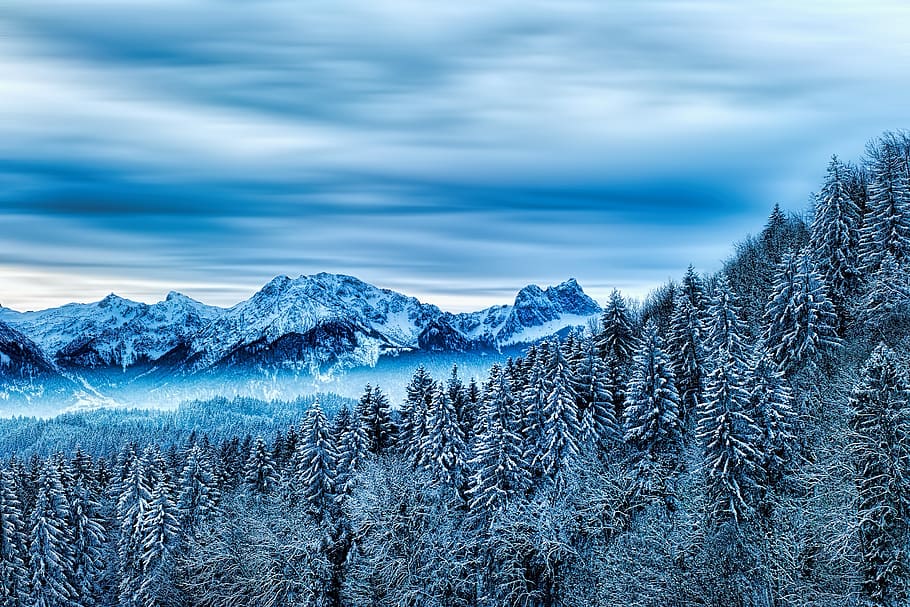 snow, winter, forest, nature, cold, mountain, allgäu, alpine HD wallpaper