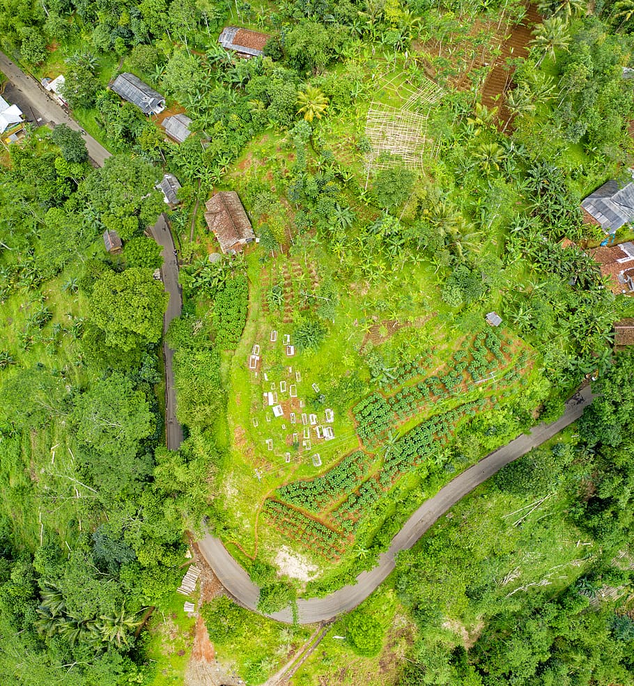 Bird's Eye View Photography of Green Land, aerial, bright, color HD wallpaper