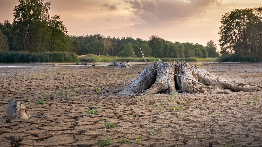 drought, cracks, dry, landscape, mud, dehydrated, lack of water HD wallpaper