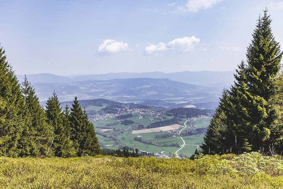 Landscape Photo of Green Grass Field, clouds, conifer, daylight HD wallpaper