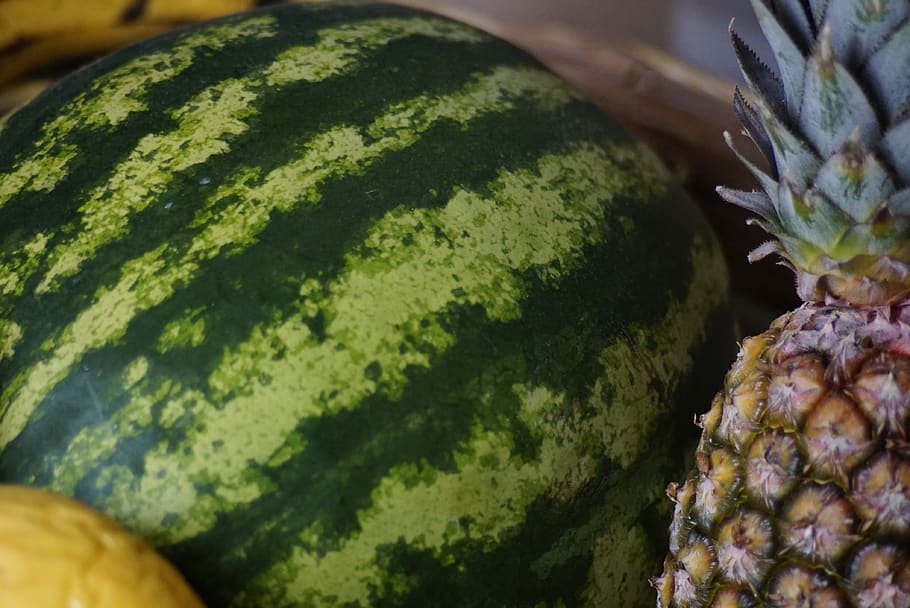watermelon, fruit, mature, green color, close-up, freshness HD wallpaper