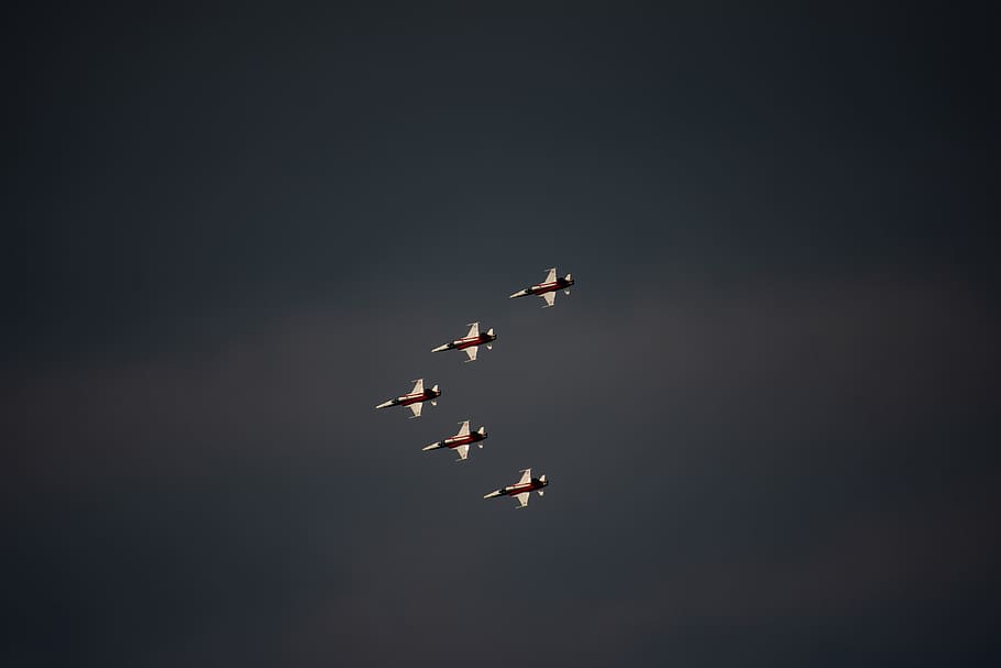 five airplanes having a formation, flying, group of animals, no people HD wallpaper