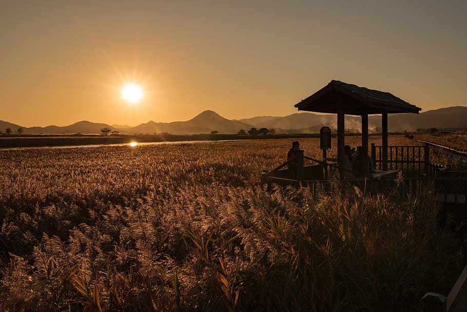 korea, landscape, memory, sunset, sky, nature, beauty in nature HD wallpaper