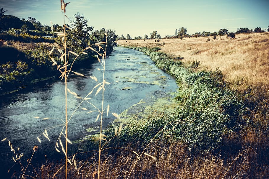 river, brown, bue, white, lanscape, france, grass, vegetation HD wallpaper