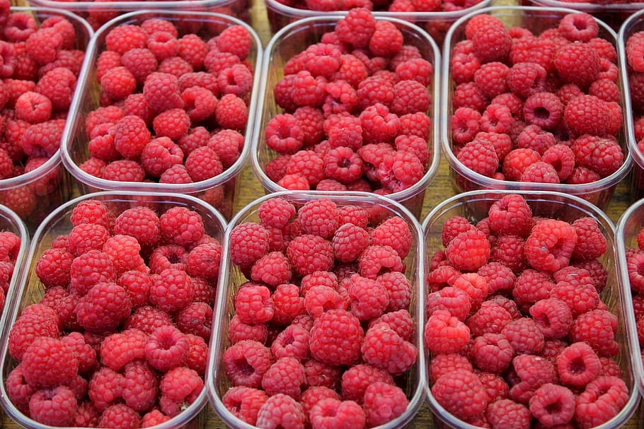 raspberry, fruit, food, dessert, naschmarkt, vienna, red, cup HD wallpaper