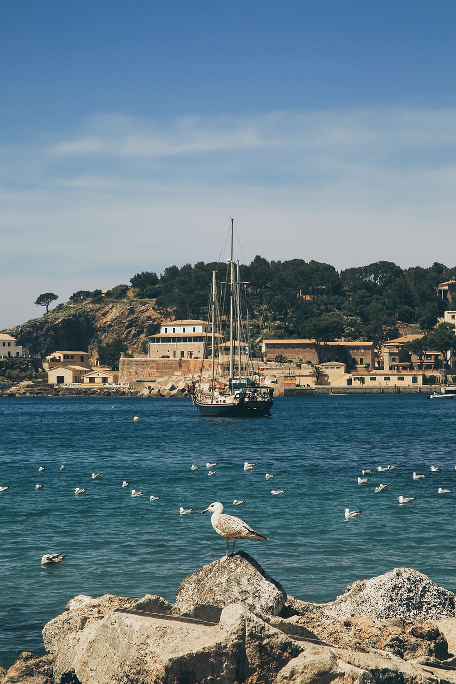 White Bird on Gray Concrete Rock Near White Galleon Ship, architecture HD wallpaper