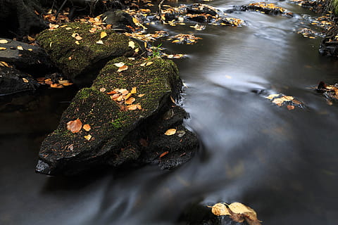 Colorful autumn stream., background, beautiful, fall, foliage HD wallpaper