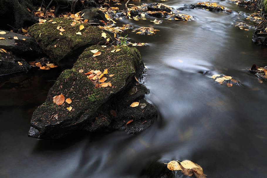 Colorful autumn stream., background, beautiful, fall, foliage HD wallpaper