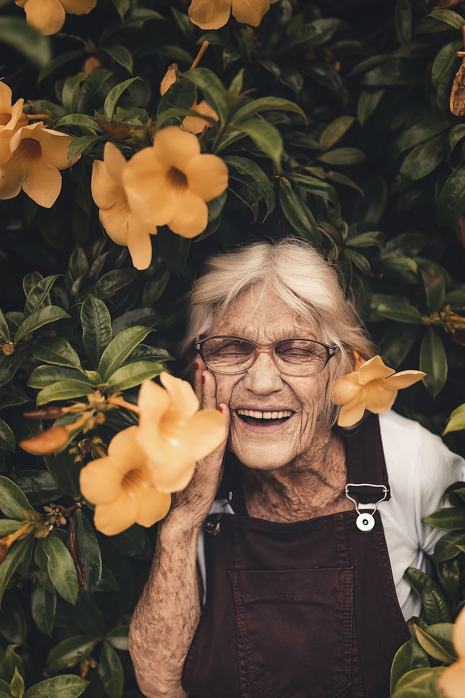 Woman Standing Near Yellow-petaled Flower, close-up, elder, elderly HD wallpaper