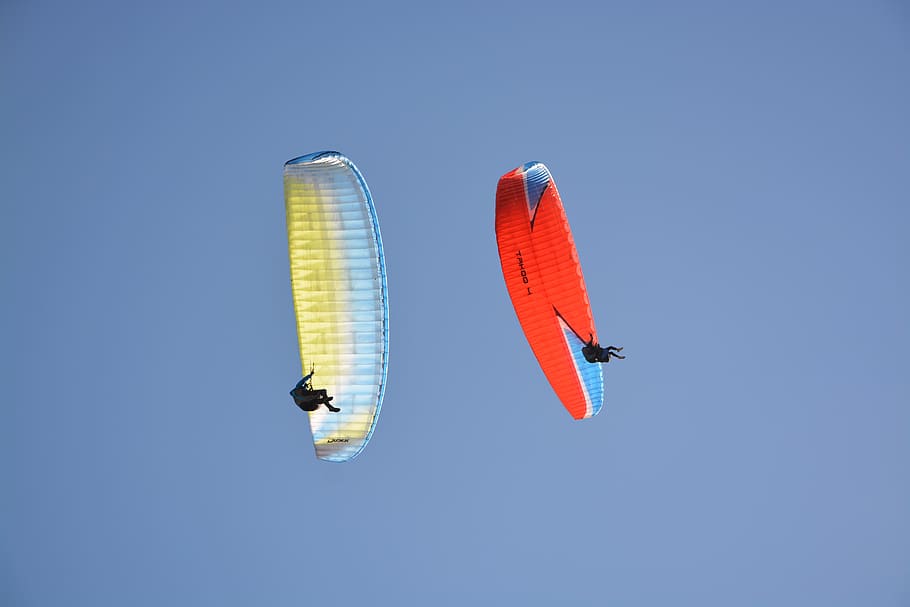 paragliders, harnesses, entertainment, wind, activity, hobbies HD wallpaper