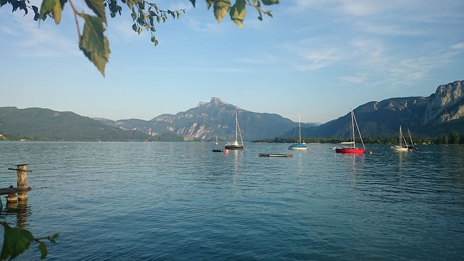 mondsee, lake, austria, landscape, salzkammergut, ship, sheep mountain, HD wallpaper