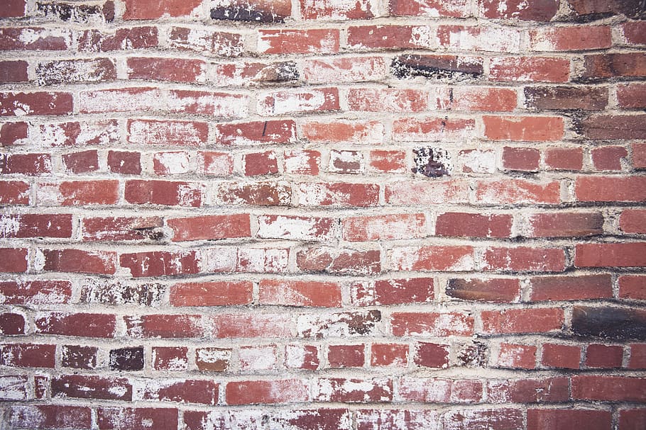 Photo of Red Brickwall, background, bricks, concrete, rough, solid HD wallpaper
