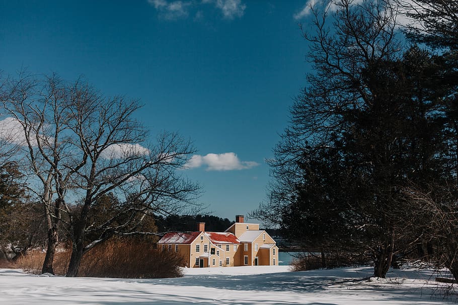 Landscape Photography of House Under Calm Blue Sky, bare tree HD wallpaper