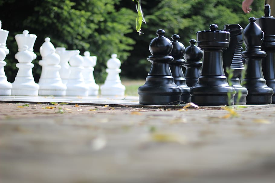 chess, beginning, clean up, win, kings, play, strategy, challenge HD wallpaper