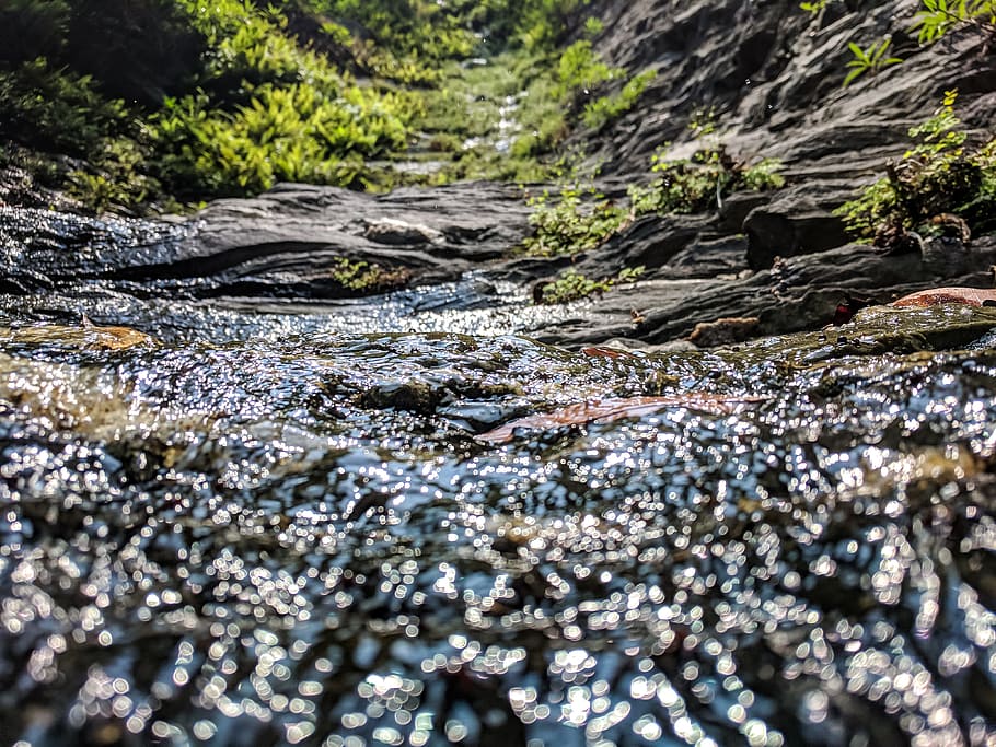 Water Flowing, creek, nature, river, rocky, stream, day, selective focus HD wallpaper
