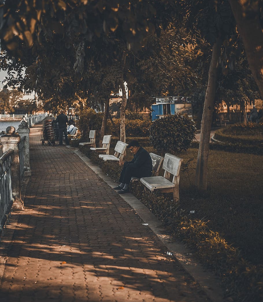 Man Sitting On Park Bench, benches, elderly, old man, person HD wallpaper