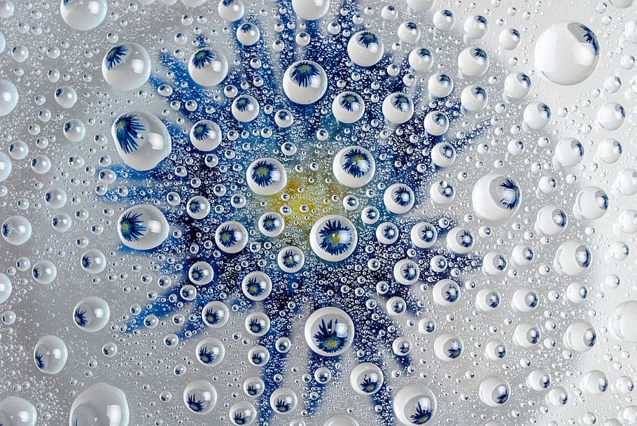droplets, water, flower, close-up, backgrounds, full frame HD wallpaper