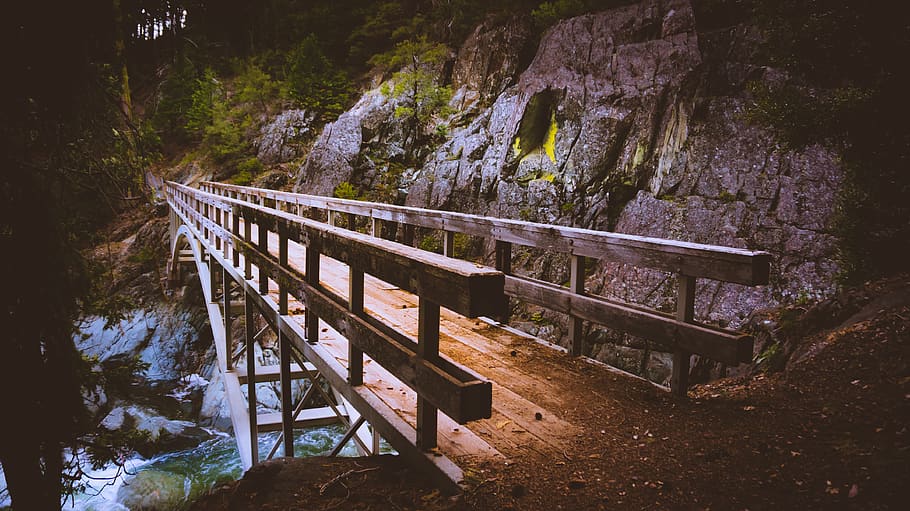 forest, bridge, pct, nature, tree, no people, plant, tranquility HD wallpaper